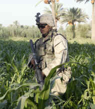 Fallujah.jpg (1031535 bytes)