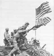 IJflagswitch.jpg (85927 bytes)