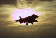 wpe309.jpg (46301 bytes)