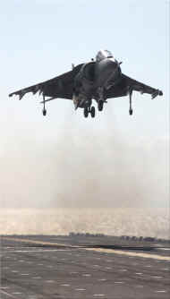harrier2.jpg (341381 bytes)