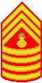 MASTER GUNNERY Sergeant