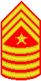 Sergeant MAJOR